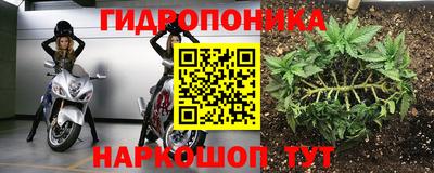 кокс Моздок